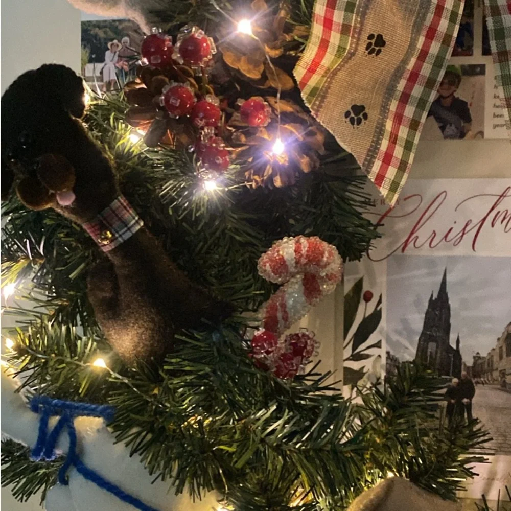 Dog/Cat Theme Wreath